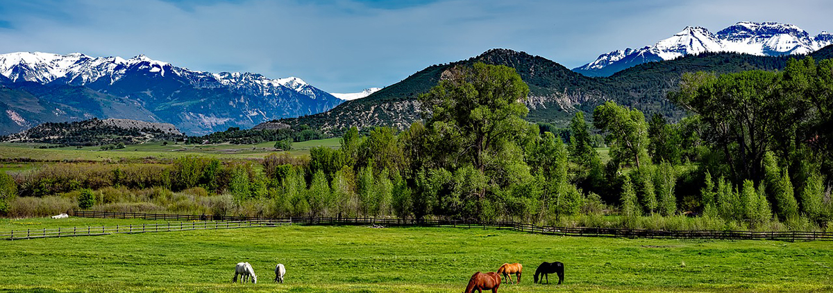 Best Family Dude Ranch Vacations Colorado