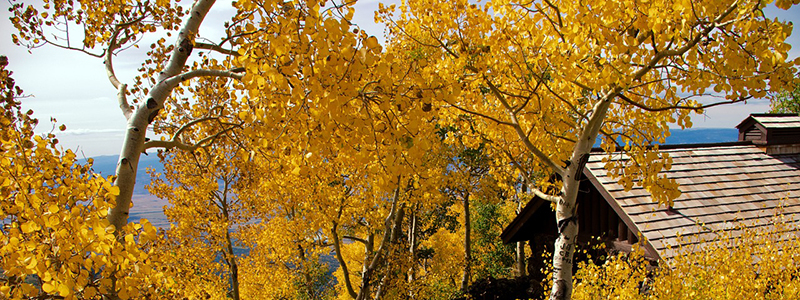 Where to See Colorado Fall Colors