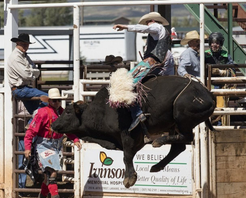 A History of Bull Riding
