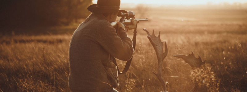 colorado hunters and wildlife