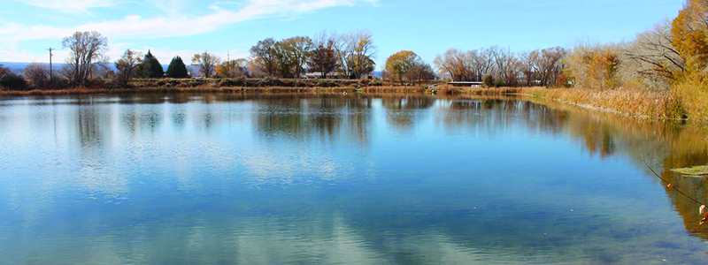 Fishing Spots In Denver