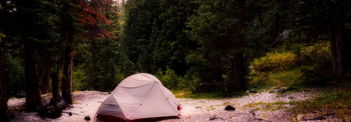 Best Dispersed Camping in Colorado