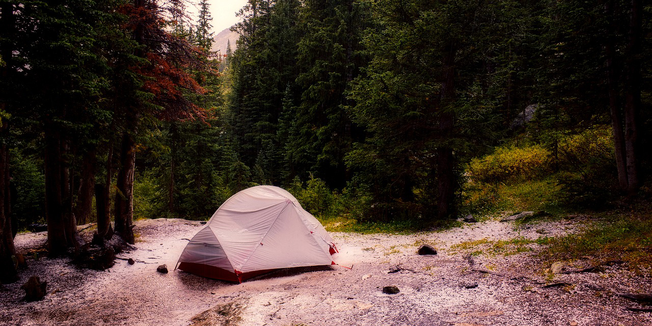 Best Dispersed Camping In Colorado Grizzly Rose