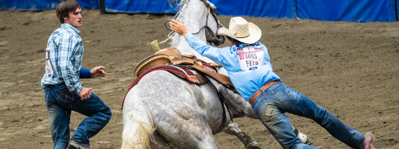 2020 denver stock show and rodeo