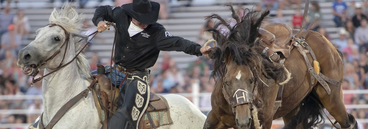 rodeos in Denver