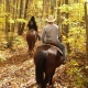 Cross Country Horseback Riding Featured