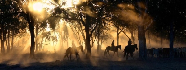 Biggest Ranches in the World | Largest Ranch in Texas & Globally