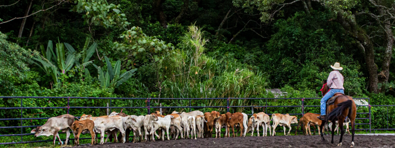 biggest-ranches-in-the-world-largest-ranch-in-texas-globally